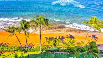 Vila, 1 quarto (Oceanfront, Sleeps 4 (MAH-1006)) | Vista do quarto