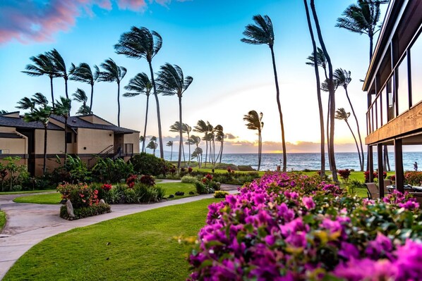 Lägenhet (2 Bedrooms) | Utsikt från rummet