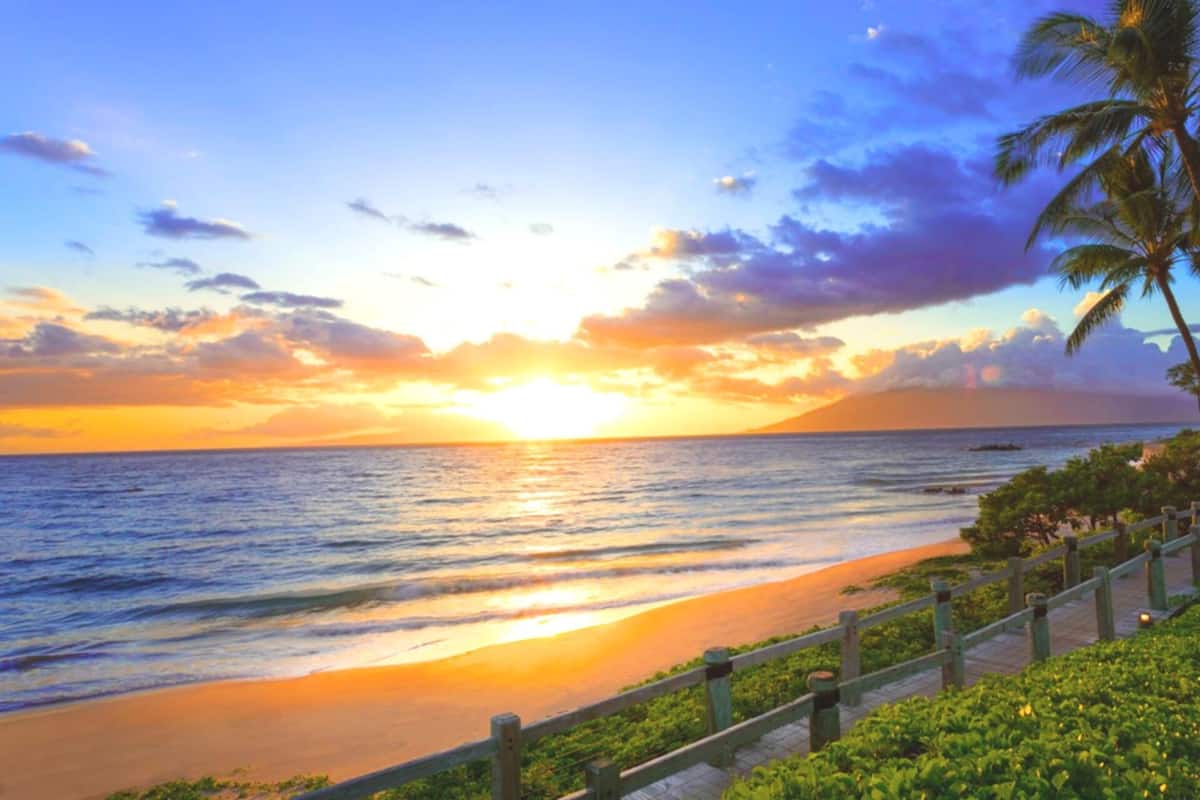 A sunset beach scene with a wooden walkway and palm trees.