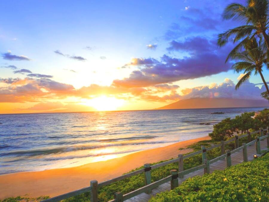 A sunset beach scene with a wooden walkway and palm trees.