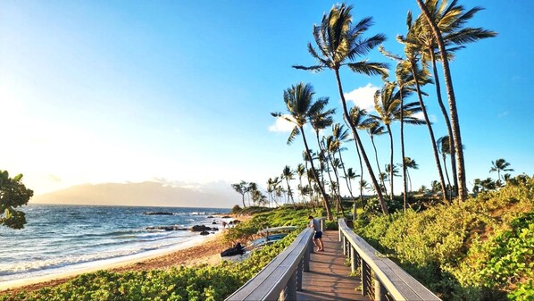 Condo (1 Bedroom) | Beach