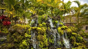 A waterfall with moss-covered rocks, surrounded by tropical plants and palm trees. - Grand Champions by KBM (Kihei)