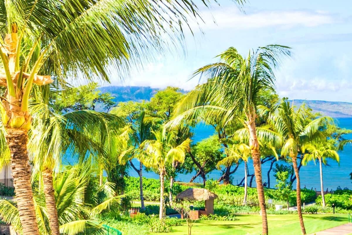 Condo, 1 Bedroom, Air conditioning, Ocean View (1 Bedroom HKH-318) | Front of property