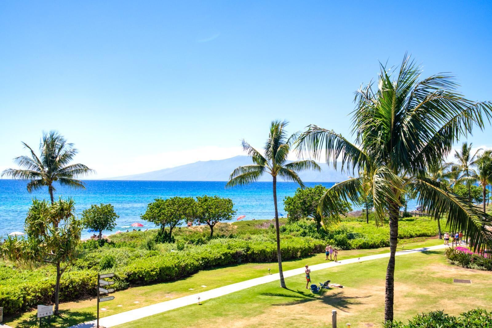 A tropical resort with a clear view of the ocean, palm trees, and a pathway leading to the beach.