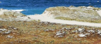 Barrañan beach apartments, Apartment 31