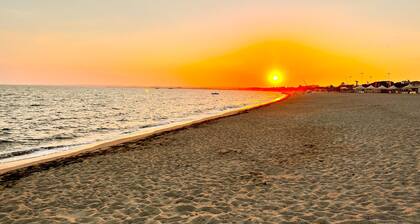 Graceful apartment near the beach