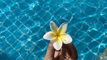 Una mano sostiene una flor sobre una piscina con agua azul cristalina.