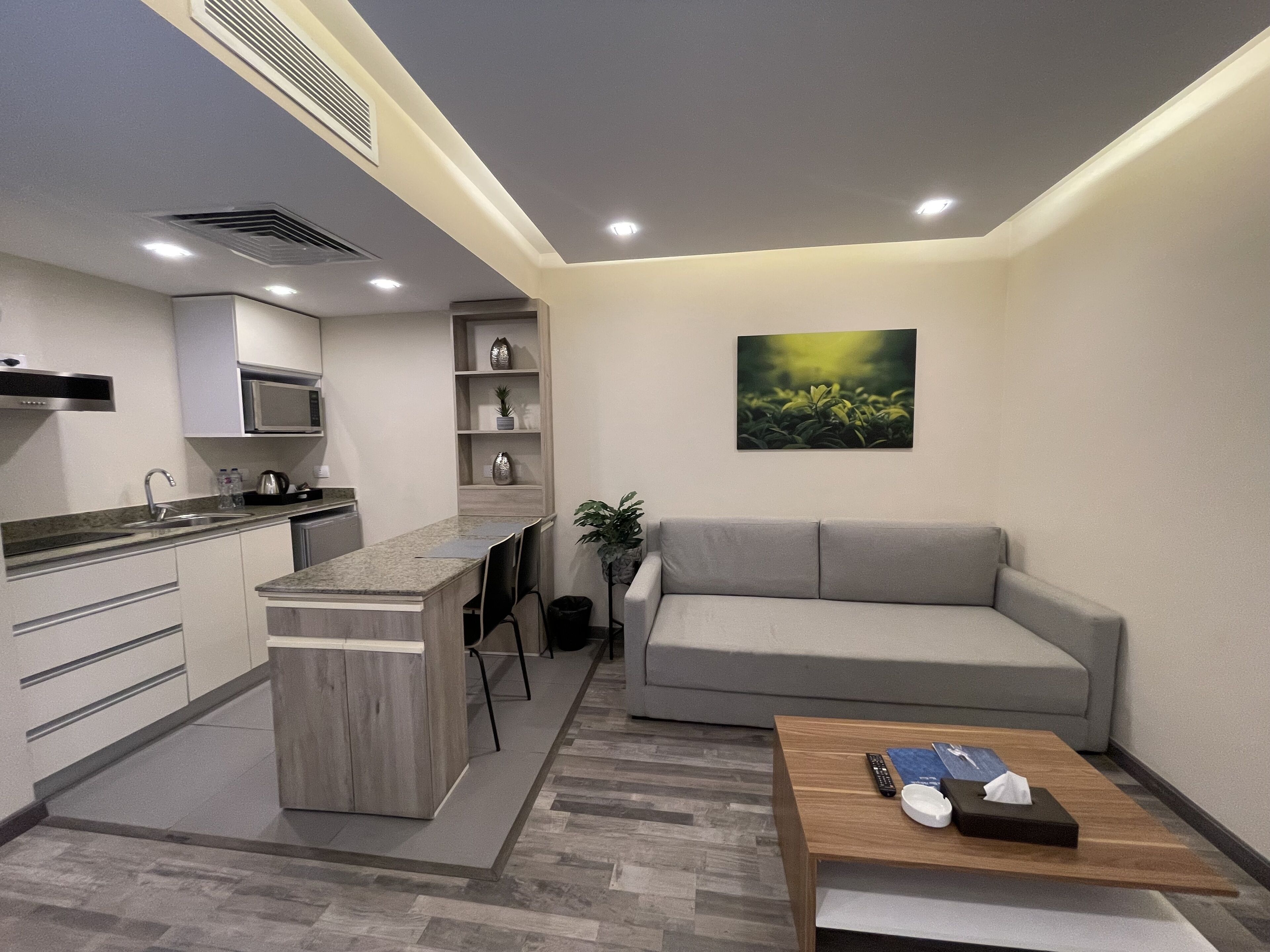 Una cocina moderna con una isla integrada, un sofá gris y una mesa de centro con controles remotos.