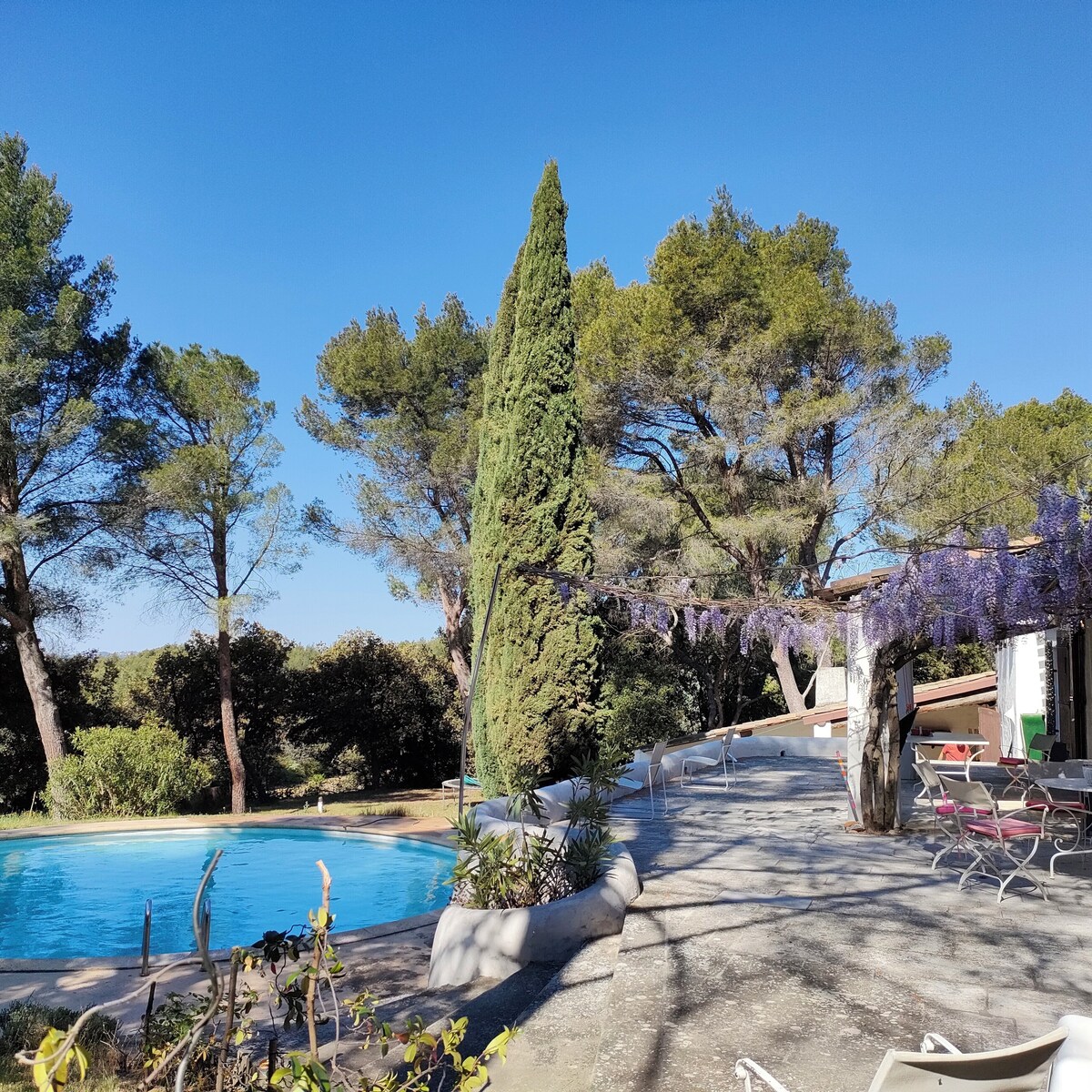 Bild für Gastgeberprofil