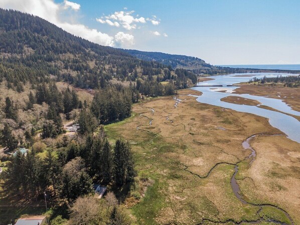 A river meandering through a forested area with a mountain in the background. - Sandlake Views-Peaceful, Pet friendly, views (Cloverdale)