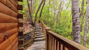 A wooden staircase leading into a forested area with a wooden railing.