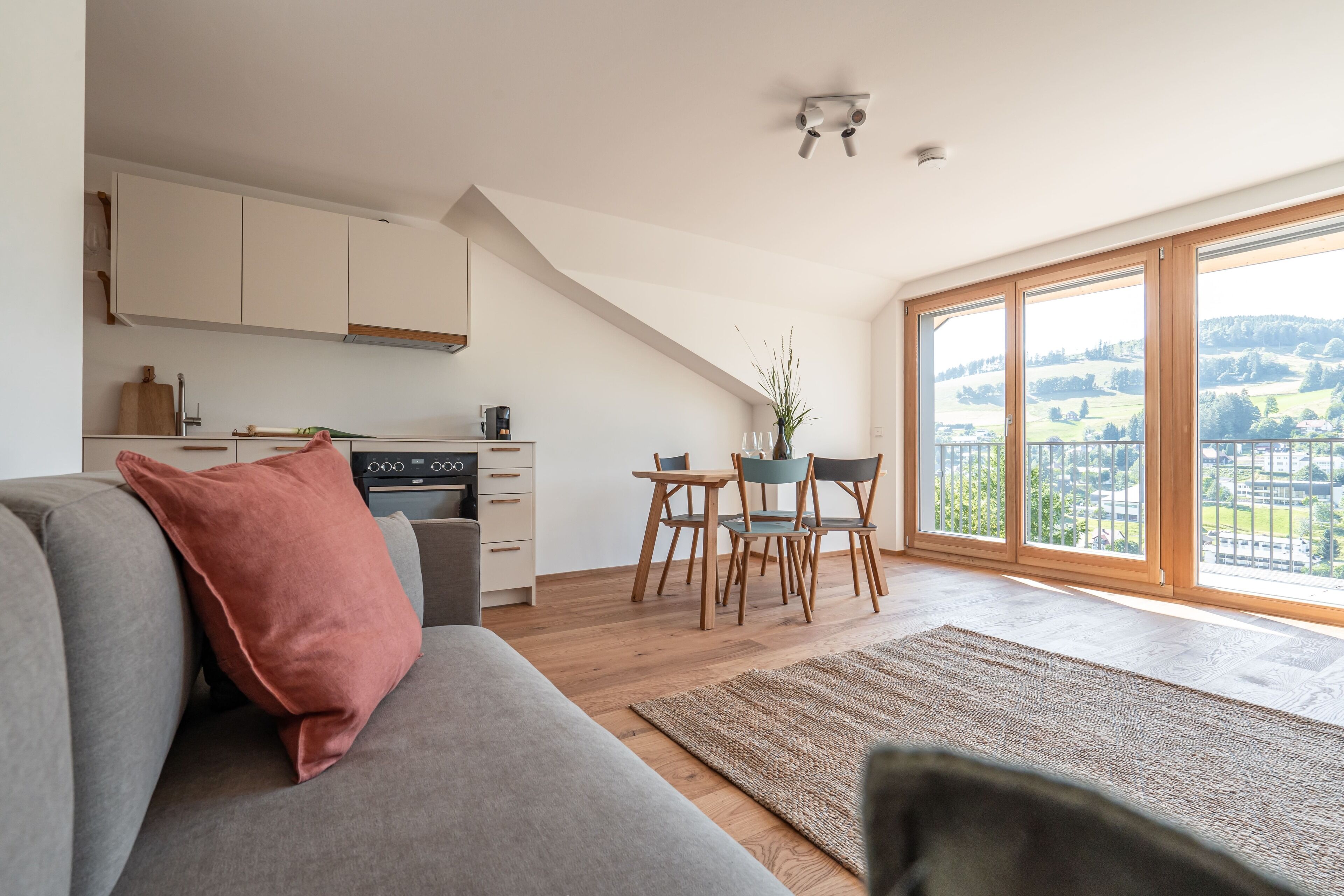 公寓 | 起居区 | 平板电视