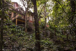 A lush, green outdoor area with a stone staircase leading up to a building.