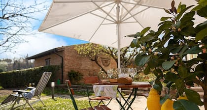 Regarda - Countryhouse Nocino 1 in the middle of Lake Garda vineyards