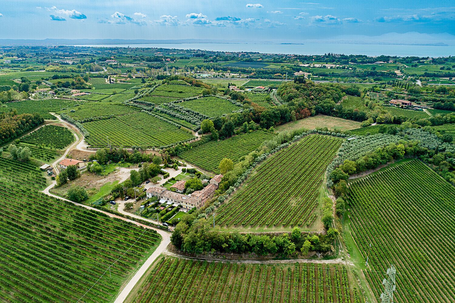 Ein Luftbild zeigt ein Weinberg mit terrassierten Feldern, ein zentrales Gebäude und ein entferntes Gewässer.