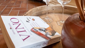 A cozy living area with a wooden cabinet, a white sofa with a striped pillow, and a tray with wine glasses and a book titled "VINO". - Regarda - Countryhouse Nocino 1 in the middle of Lake Garda vineyards (Lazise)