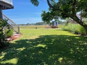A grassy yard with a building, a tree, and a trailer.