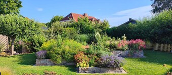 Charming wooden bungalow behind the dyke "Preussenhuus"