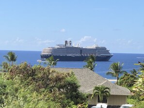 Un gran crucero atracado en un puerto, con vista clara al océano y palmeras al frente.