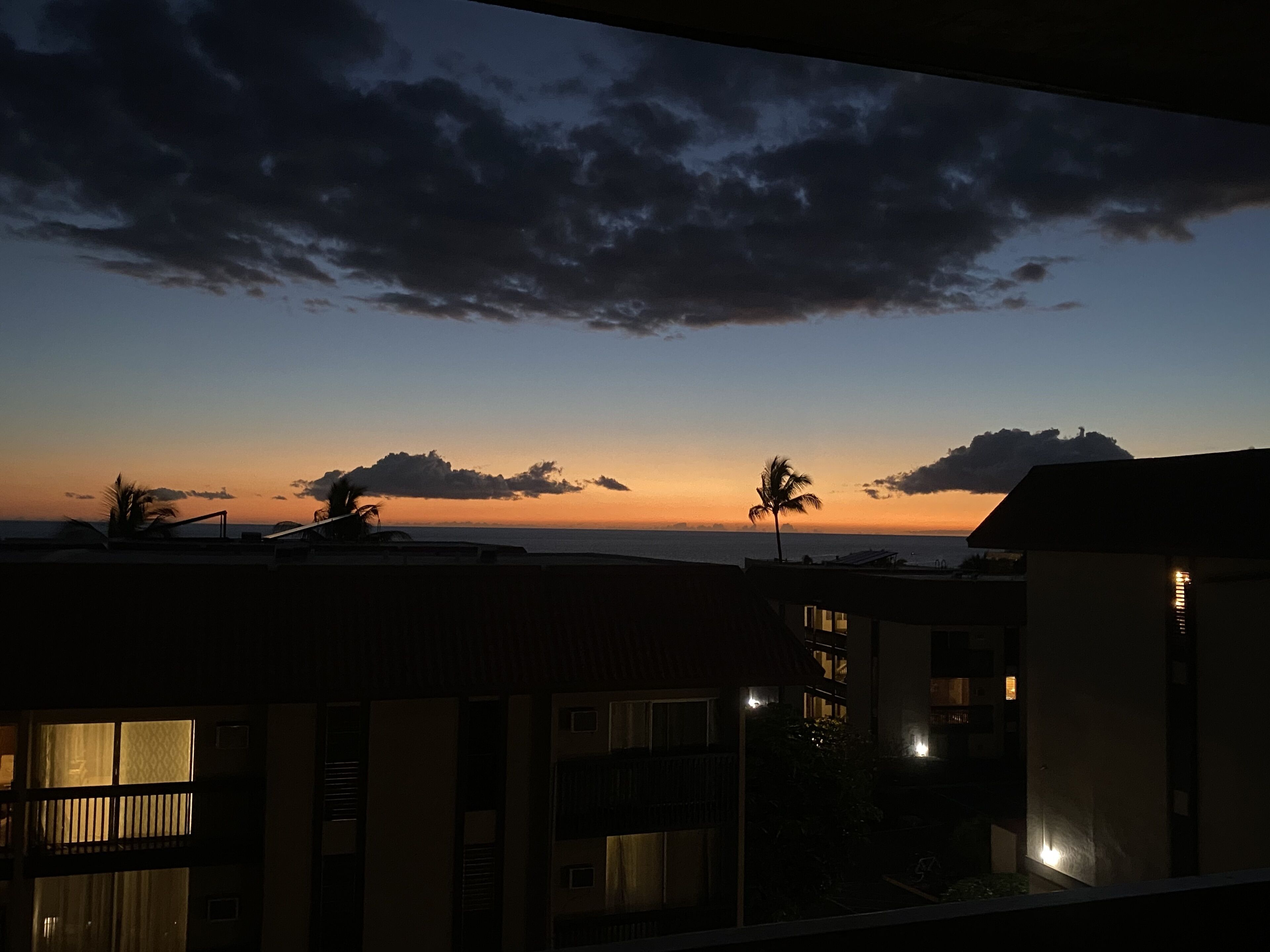 A view of a sunset over a coastal area with buildings and palm trees.