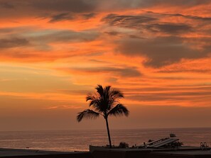 Vista del atardecer con una palmera y un bote en el agua.