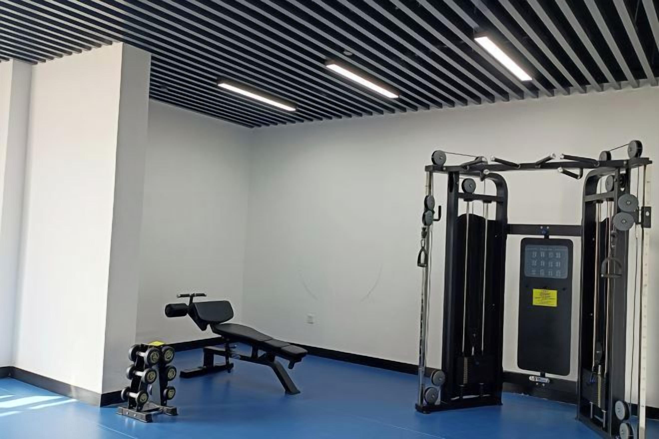 A gym with a bench, weight machines, and a squat rack.