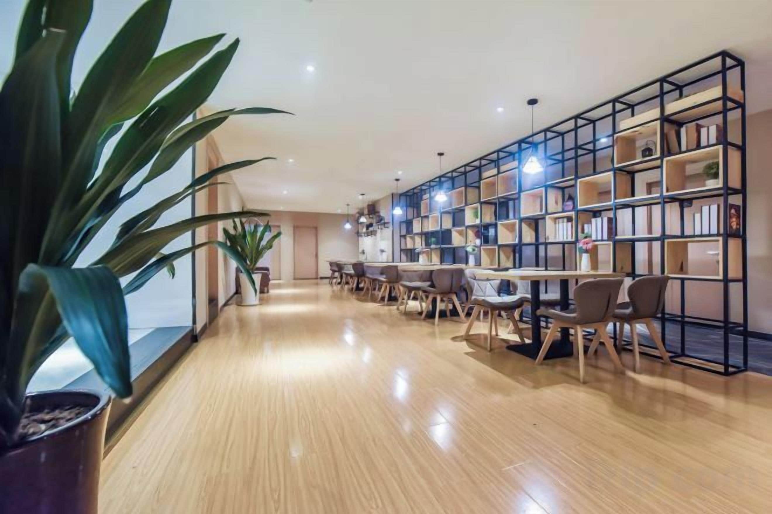 Una habitación amplia con suelo de madera, una gran estantería y una planta en maceta.