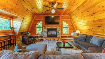 Télévision, cheminée, livres