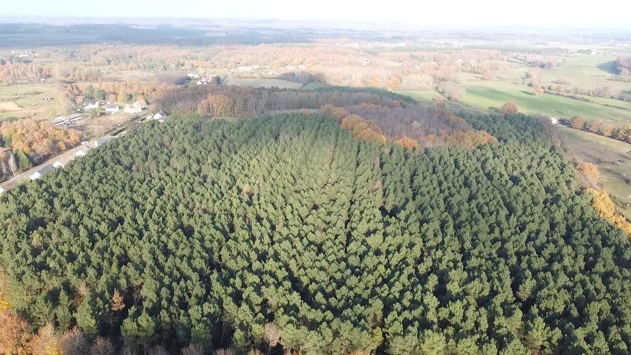 An aerial view of a densely forested area with a small cluster of buildings in the distance.