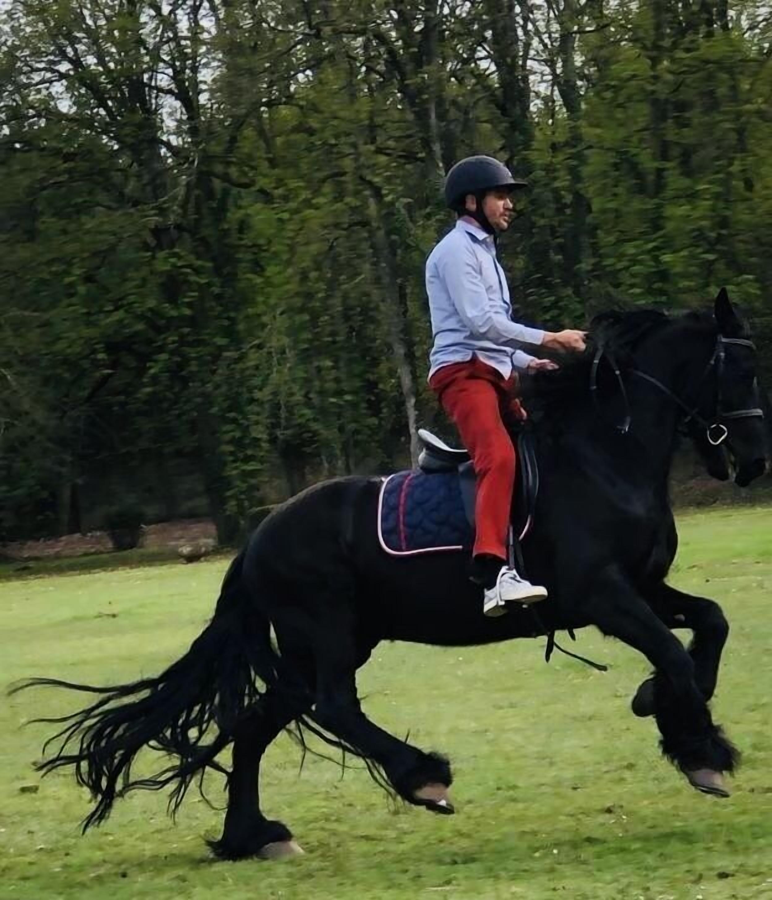 A person riding a black horse in a grassy area with trees in the background.