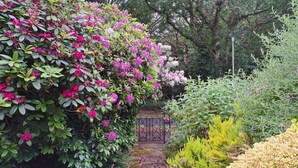 Uma trilha de pedra serpenteia por um jardim com arbustos e flores variadas.