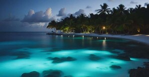 A beach with clear turquoise water, palm trees, and a dock. - Rum Point Island House #14, Waterfront, Beach, Pool, Bikes, Kayaks, Paddleboards (Rum Point, North Side)
