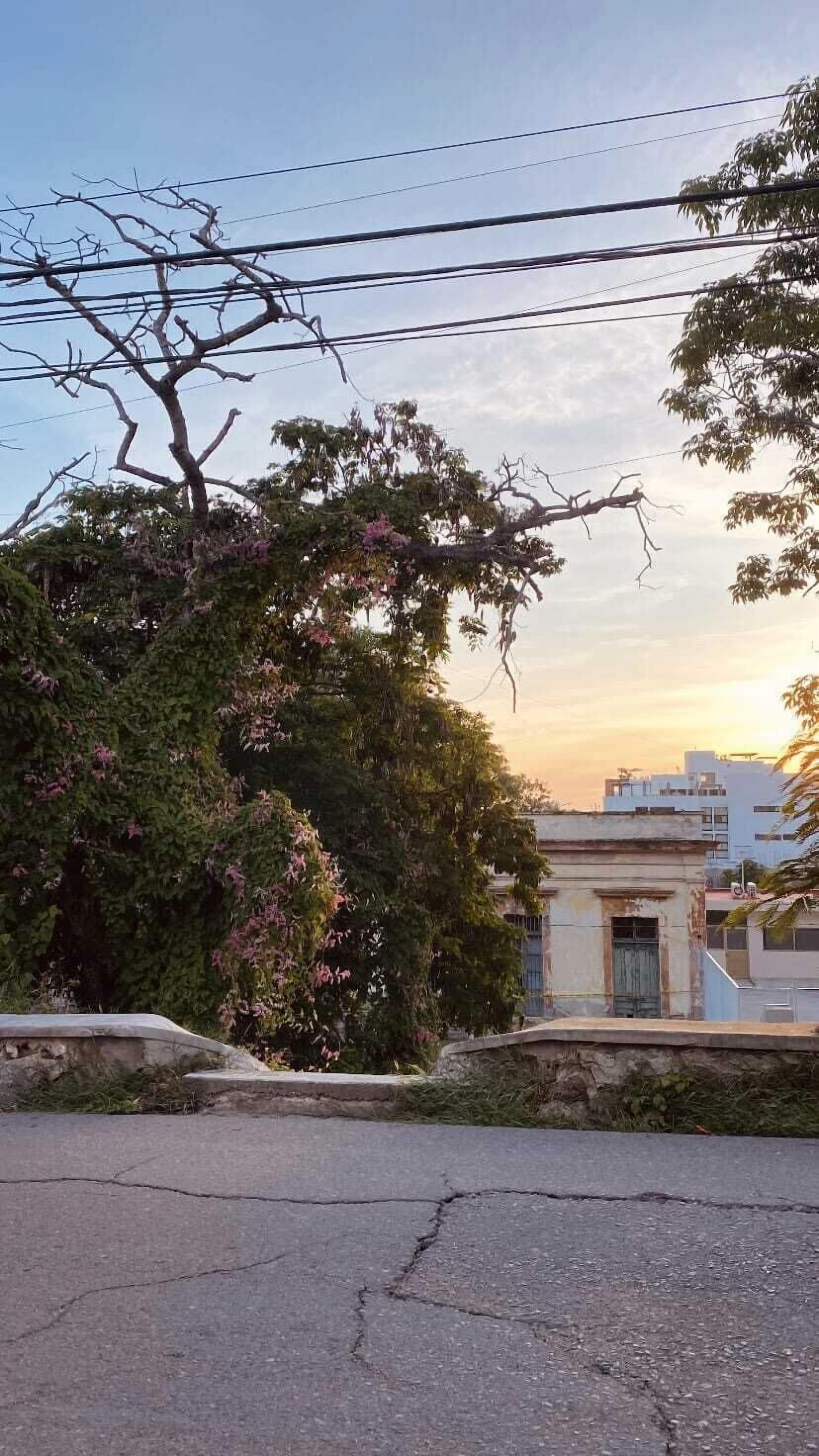 Photo - Casona 13 Flechas