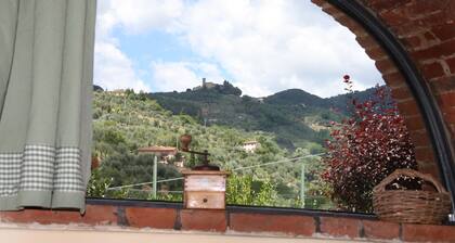 Romantic independent country house with garden, between Lucca and Florence