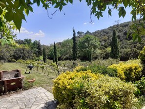 Terrain de lâhĂ©bergement