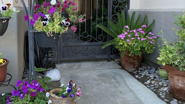 A gated entrance with a wrought iron gate, potted plants, and a concrete pathway leading to a building. - Cozy studio just 5 min. Away from Coachella fest (Coachella)