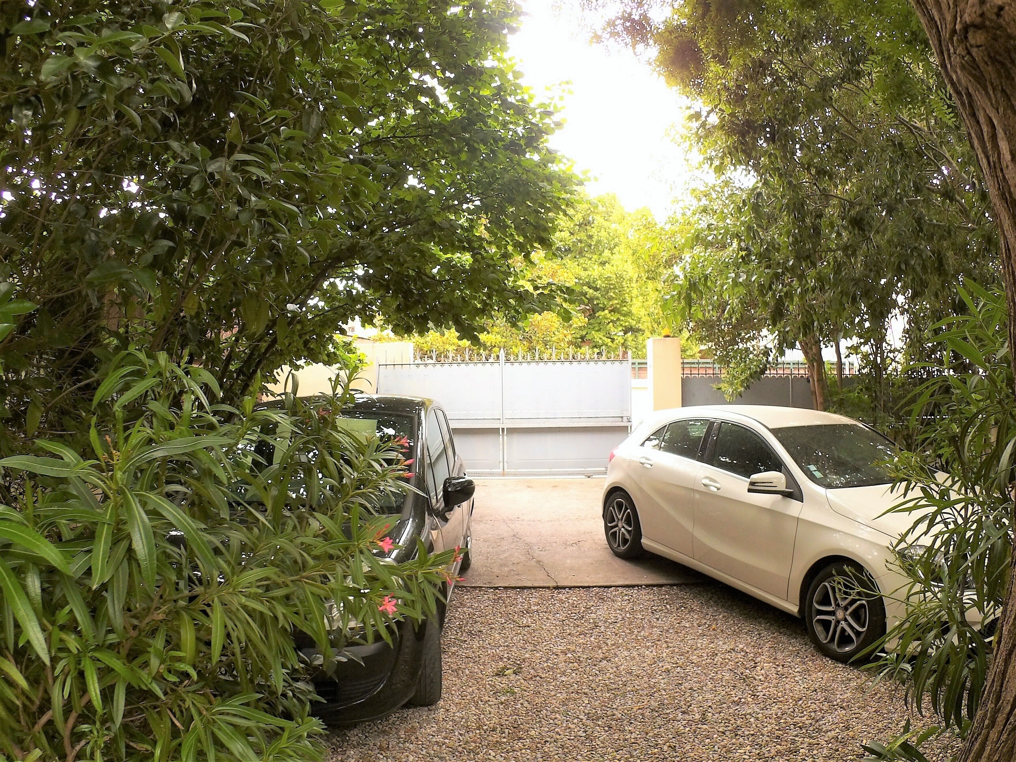 A parking area with a white car and a black car parked under trees.