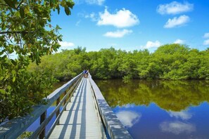 A wooden boardwalk extending over a calm body of water, surrounded by dense green foliage and trees under a clear blue sky. - Blind Pass D204 (Sanibel)
