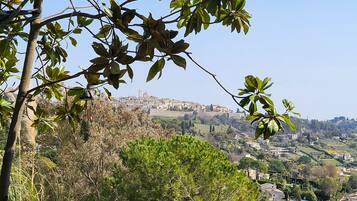 A town with a prominent hilltop structure, surrounded by greenery and residential buildings.