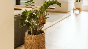 Una sala de estar moderna con un ventanal grande, un televisor y una cesta tejida con plantas verdes.