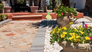 Un chemin de pierres mène à un espace aménagé avec des plantes en pot et un grand pot de fleurs contenant des fleurs jaunes.