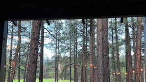 A forested area with tall trees and a golf course in the background. - Cozy Pinetop Country Club Home on Golf Course (Pinetop)
