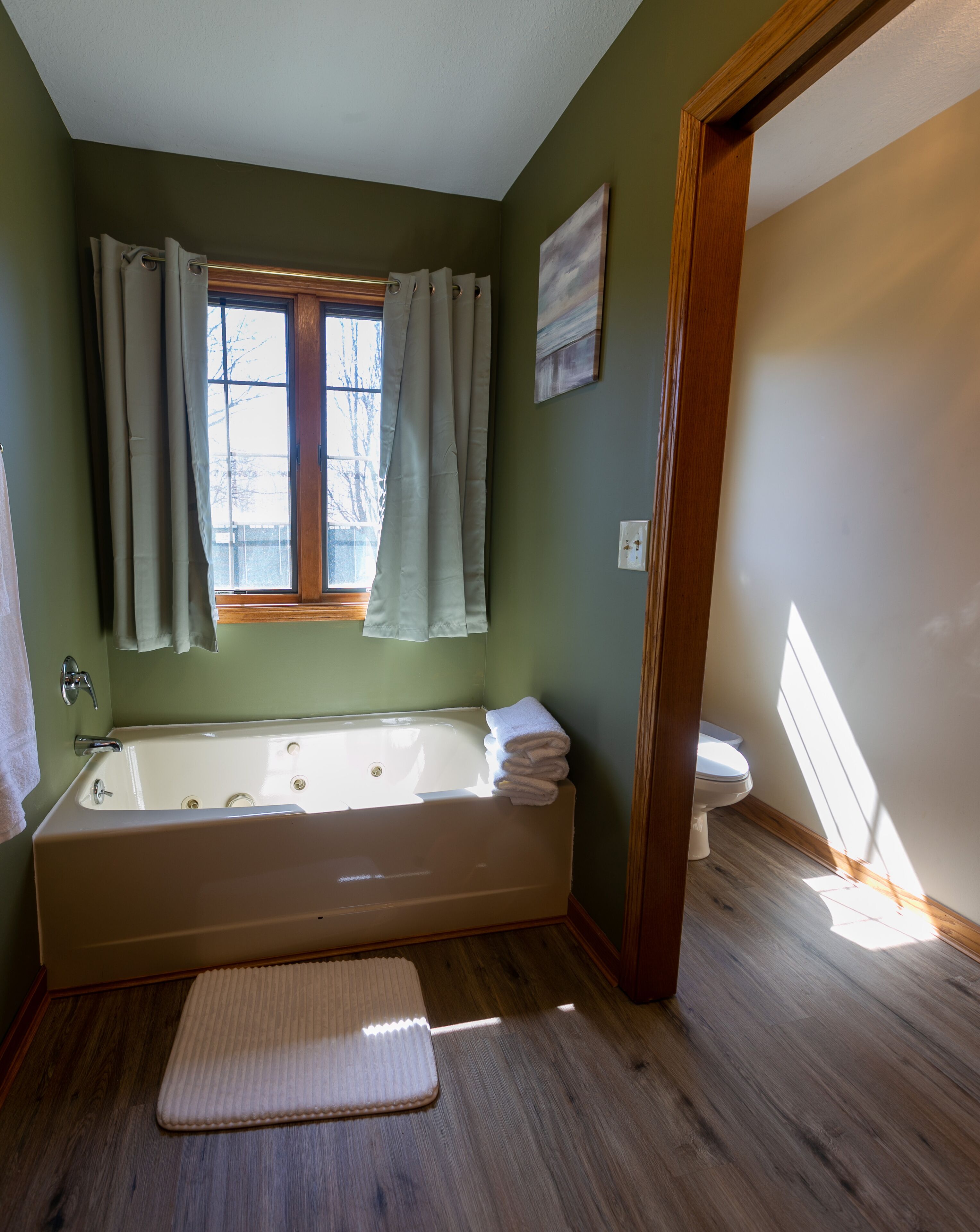 Combined shower/bathtub, jetted bath, hair dryer, towels