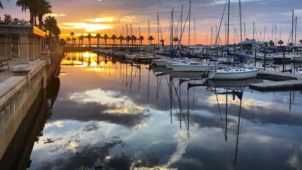 A marina with boats docked, a calm water body reflecting the sky, and a row of palm trees along the waterfront.