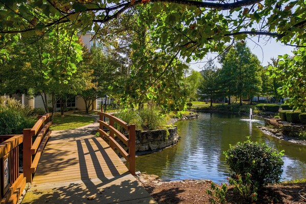 Resort trail