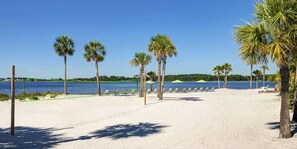 Une plage bordée de palmiers, une étendue de sable et une rangée de chaises de plage et de parasols.