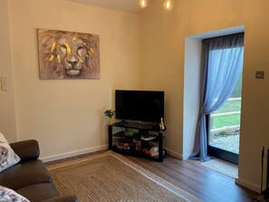 Una televisión, una chimenea