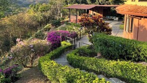 A hillside property with a paved pathway, lush greenery, and a building with a tiled roof. - Endless charm in the heart of the Central Valley (Atenas)