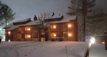 Shanty Condo-Pool Pass & Great Views Included!