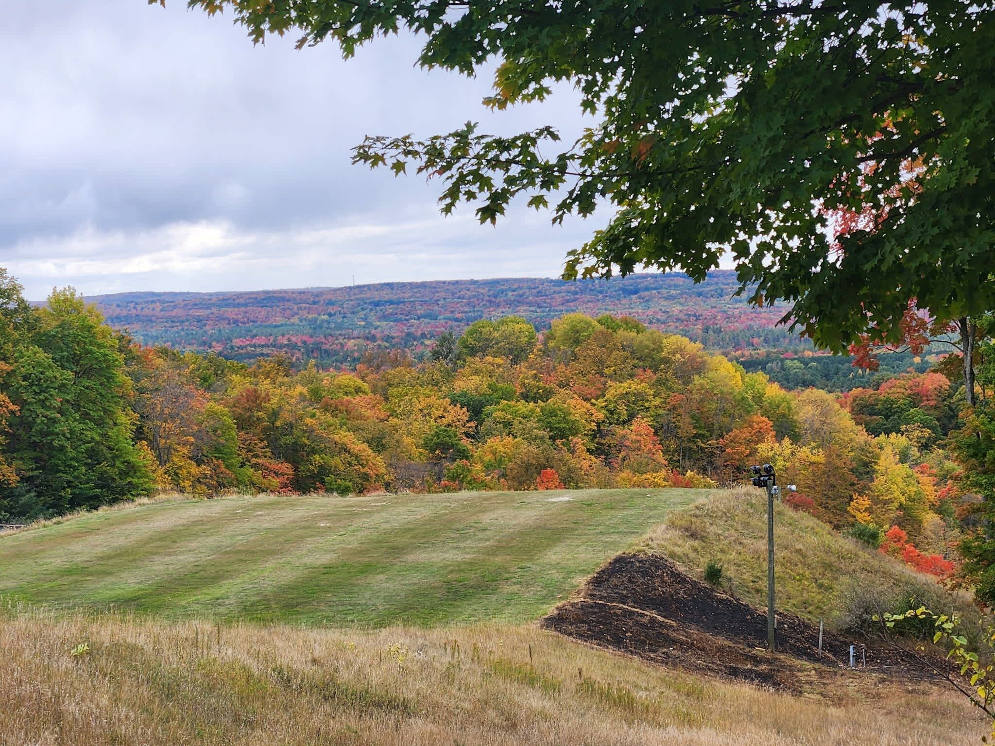 Un champ herbeux avec une colline en arrière-plan, entouré d’arbres aux feuilles d’automne.